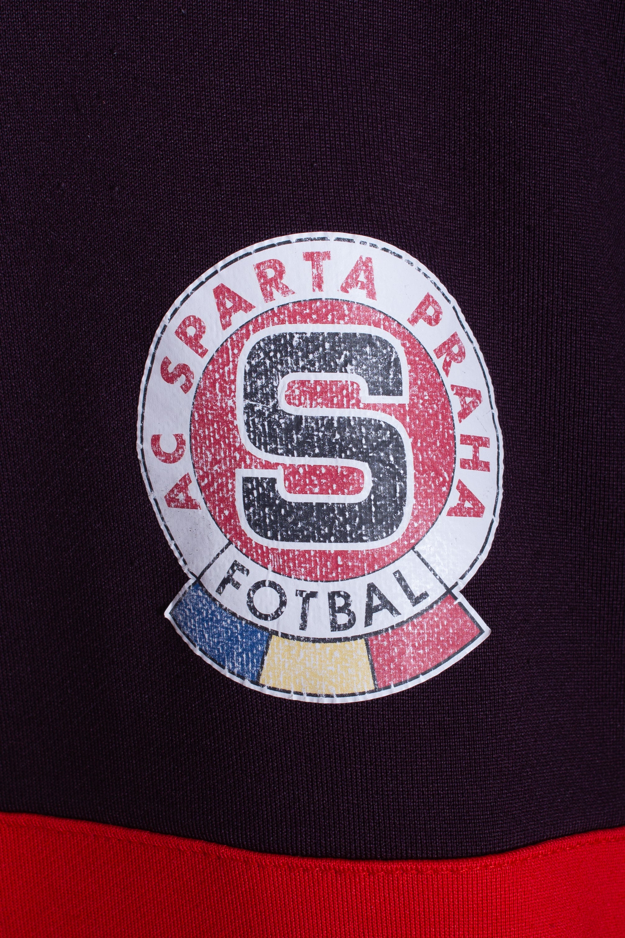 Sparta Praha 2006/10 Training Top (L)